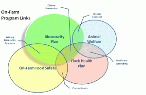 biosecurity venn diagram